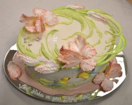 Cake Design Premi Ghiaccia Reale Vienna
