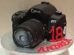 Cake Design Feste Scolpite Canon