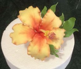 Cake Design Fiori Ibiscus