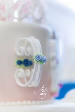 Cake Design Premi Ghiaccia Reale Maternita